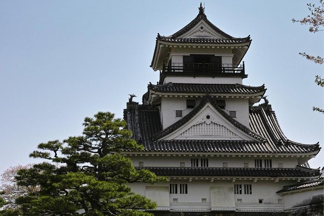 1-Day Kochi Highlights Tour with local guide - Is $158.56 good value?