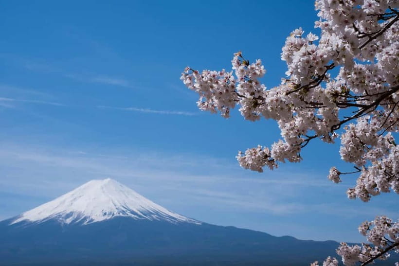 1-Day Mt Fuji and Hakone Sightseeing trip from Tokyo - What the Private Car Adds to the Day