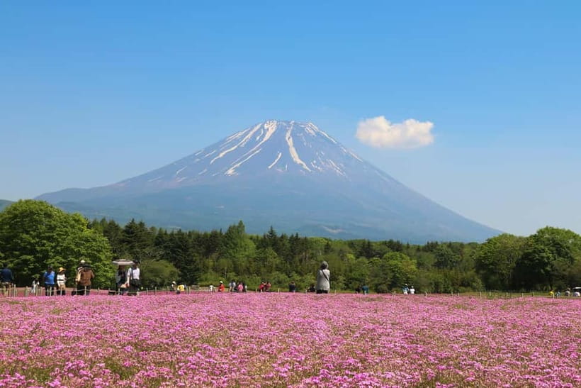 1-Day Mt Fuji and Hakone Sightseeing trip from Tokyo - Price, Group Size, and Overall Value