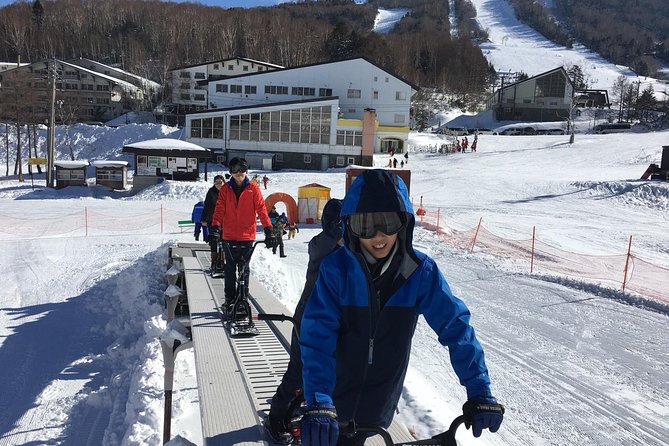 1-Day Snow Monkeys & Snow Fun in Shiga Kogen Tour - Seeing the macaques in the hot springs