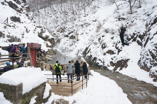 1-Day Snow Monkeys, Zenko-ji Temple & Sake in Nagano - The forest trail to Jigokudani Snow Monkey Park