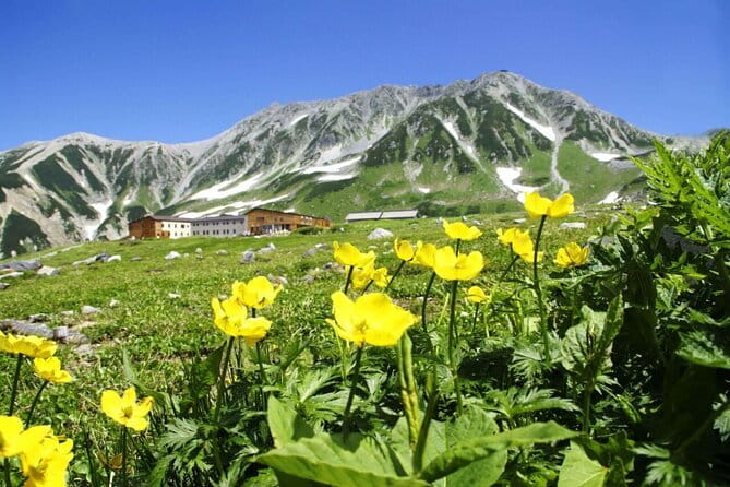 1-Day Tateyama-Kurobe Tour: Walking on the 'Roof of Japan' - Key points at a glance