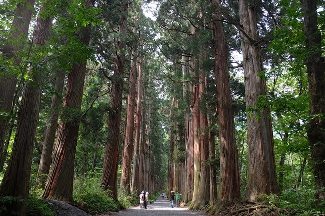 1-Day Togakushi Tour: Soba making, Ninja Town, and Hidden Shrines - Key points at a glance