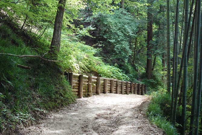 1-Day Tour from Matsumoto: Walk the Nakasendo Trail - Arriving at Steep Magome-juku