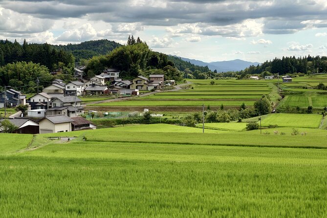 1-Day Tour from Matsumoto: Walk the Nakasendo Trail - What the Dedicated Vehicle Adds