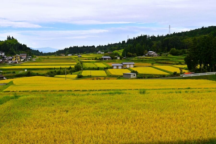 1-Day Tour from Nagoya: Hiking the Historic Nakasendo Trail - Key points at a glance