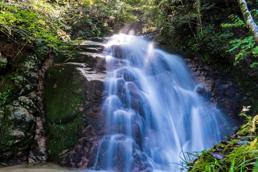 1-Day Tour from Nagoya: Hiking the Historic Nakasendo Trail - The 8 km hike from Tsumago to Magome