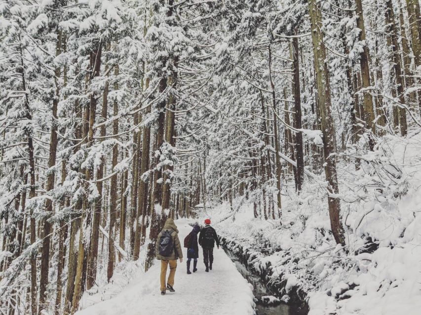 1 Day Tour: Snow Monkeys & Snow Fun in Shiga Kogen - Should you book it?