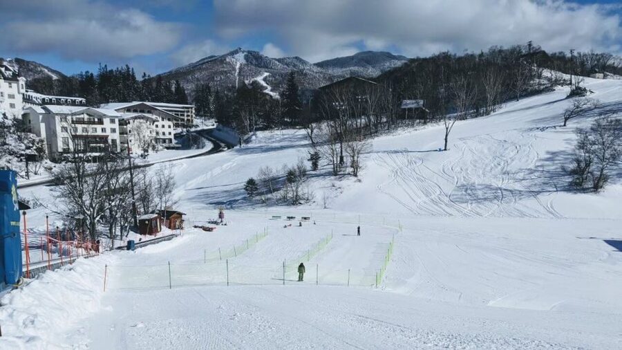 1 Day Tour: Snow Monkeys & Snow Fun in Shiga Kogen - Is $165 a fair price?