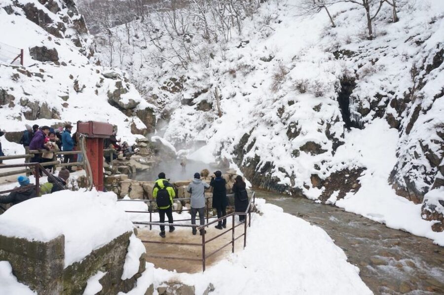 1 Day Tour: Snow Monkeys & Snow Fun in Shiga Kogen - Who should book this Shiga Kogen tour?
