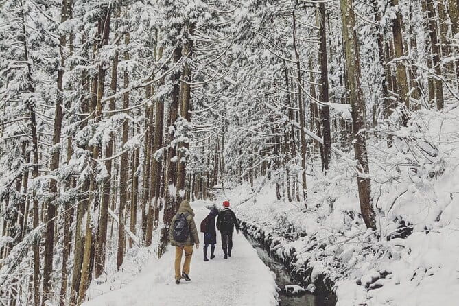 1-Day Winter Tour From Nozawa Onsen: Snow Monkeys, Zenko-ji Temple & Sake - Warming up over lunch at Japanese Dining GOEN