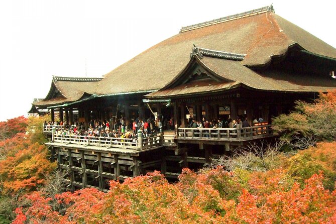 10 Must-see Spots in Kyoto One Day Private Tour (up to 7 people) - Togetsu-kyo Bridge and Kimono Forest keep the pace light
