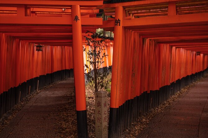 10 Must-see Spots in Kyoto One Day Private Tour (up to 7 people) - Sannenzaka, Ninenzaka, and Yasaka-no-To feel more local