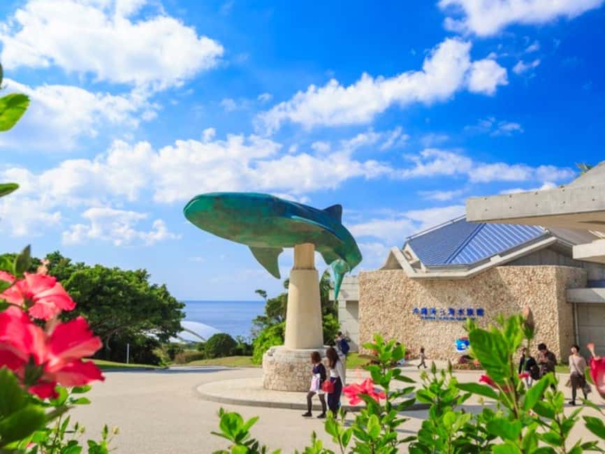 <1Dya Tour>Churaumi Aquarium, Cape Manzamo, American Village - Key points to know before booking