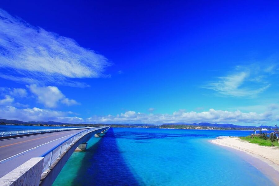 <1Dya Tour>Churaumi Aquarium, Cape Manzamo, American Village - Ocean Expo Park brings the day’s main attraction
