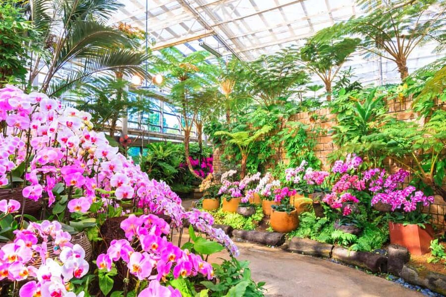 <1Dya Tour>Churaumi Aquarium, Cape Manzamo, American Village - Tropical Dream Center adds flowers, gardens, and a tower