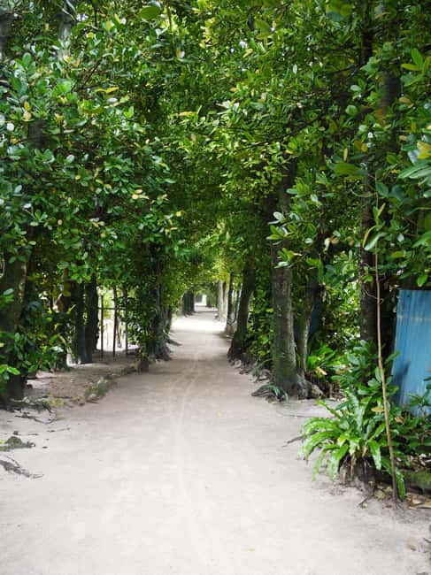 <1Dya Tour>Churaumi Aquarium, Cape Manzamo, American Village - Is $61 good value for this full-day route?