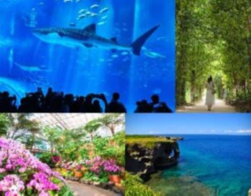 <1Dya Tour>Churaumi Aquarium, Cape Manzamo, American Village - Cape Manzamo and the Elephant Rock view