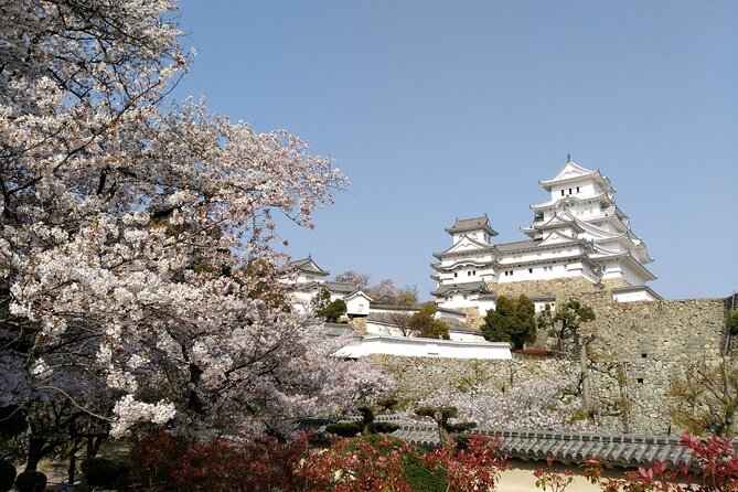 2.5 Hour Private History and Culture Tour in Himeji Castle - The top floor and Himeji views