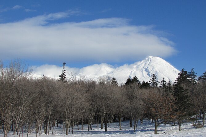 3.5hours Primeval Forest Snowshoe hike and Wildlife Watching Tour - Why Shiretoko Works So Well for a Winter Hike