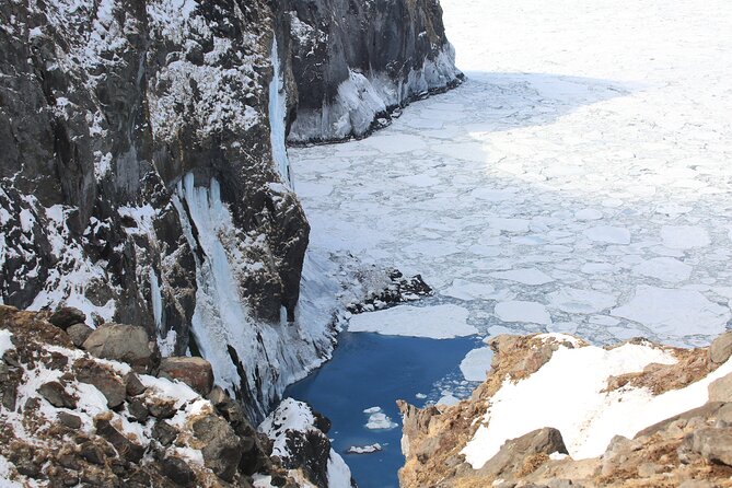 3.5hours Primeval Forest Snowshoe hike and Wildlife Watching Tour - Snowshoeing for Three and a Half Hours