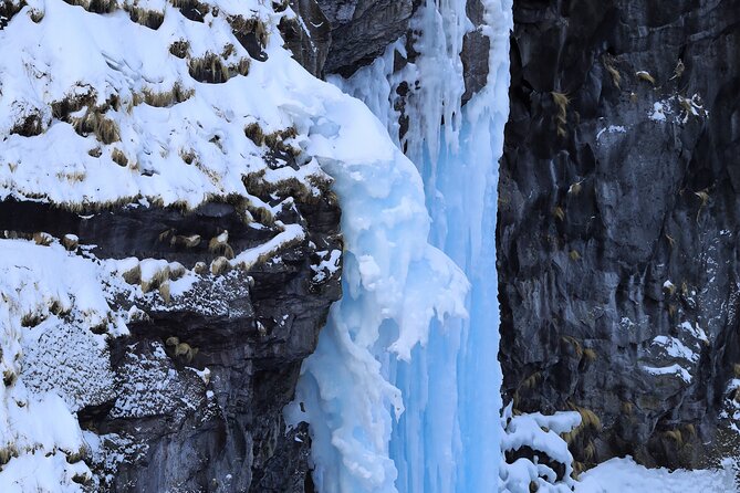 3.5hours Primeval Forest Snowshoe hike and Wildlife Watching Tour - Reaching the Frozen Tears of Man Waterfall