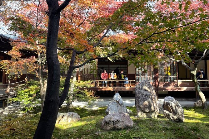4.5-Hour Kyoto Bike Tour with Lunch and UNESCO Zen Temples - The guides and the small-group advantage