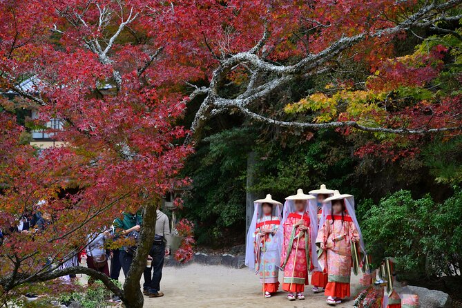 4 Hour Miyajima PRIVATE Tour - Shishiiwa Observation Deck and the mountain option
