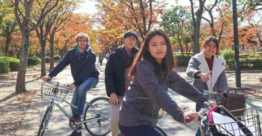 5-Hour Osaka Highlights Bike Tour with Lunch - What the $85 price really covers
