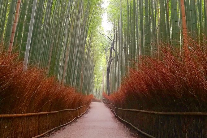 5 Top Highlights of Kyoto Full Day Bike Tour (E-bike option) - Gion, where old Kyoto still feels present
