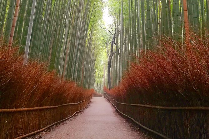 Afternoon Kyoto Bike Tour: Bamboo Forest, Monkeys & Hidden Spots - What the $106.12 price covers
