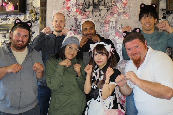 Akihabara Anime & Game Adventure Walking Tour (Group or Private) - Starting at Akihabara Station’s Electric Town Gate