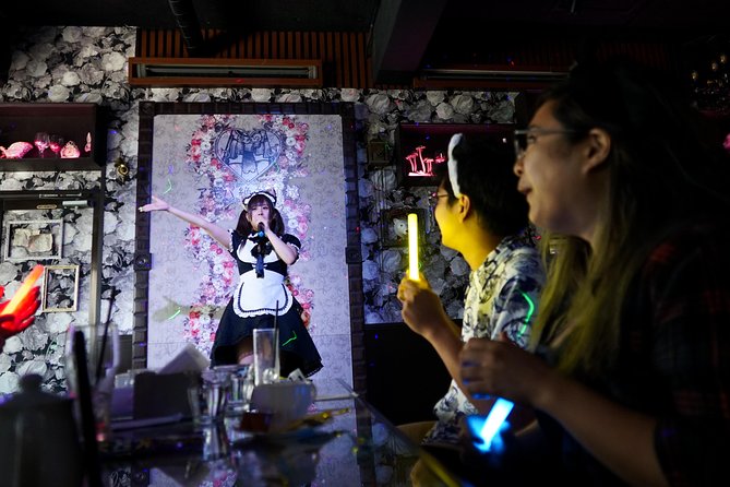 Akihabara Anime & Game Adventure Walking Tour (Group or Private) - Super Potato and the pull of old-school games