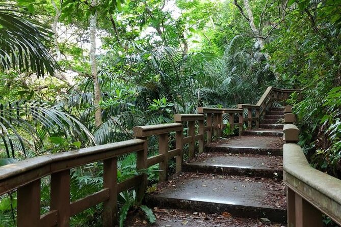 All-Inclusive Ishigaki Island Shore Excursion with English Guide - Kabira Bay is the visual centerpiece