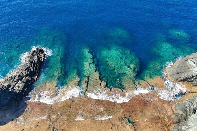 All-Inclusive Ishigaki Island Shore Excursion with English Guide - Banna Park closes the route with greenery and views