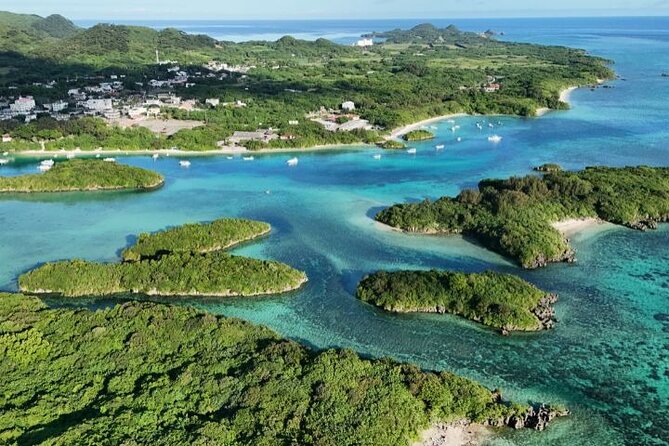 All-Inclusive Ishigaki Island Shore Excursion with English Guide - Yaima Village gives the morning some local context