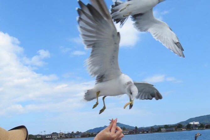 Amanohashidate & Miyama 1-Day Bus Tour: From Osaka/Kyoto w/ Lunch - Amanohashidate gives this day its main wow moment