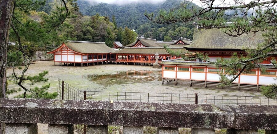 Amazing Hiroshima: Private City Tour with a Local Guide - Miyajima offers a calmer second act