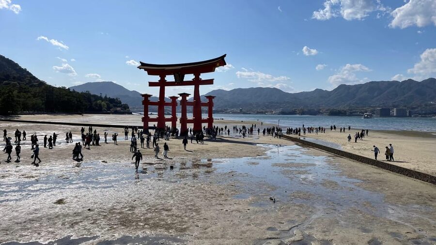 Amazing Hiroshima: Private City Tour with a Local Guide - Daisho-in and Mount Misen require extra time