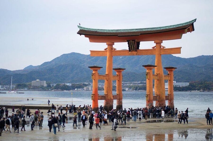 Amazing Hiroshima: Private City Tour with a Local Guide - Who should book this Hiroshima tour?