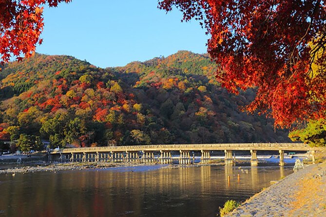 Ancient Capital Tour: Kyoto and Nara Highlights from Kyoto/Osaka - Three classic sights without the train puzzle