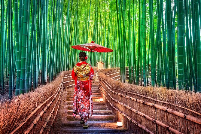 Ancient Capital Tour: Kyoto and Nara Highlights from Kyoto/Osaka - Guides can make the tight schedule work