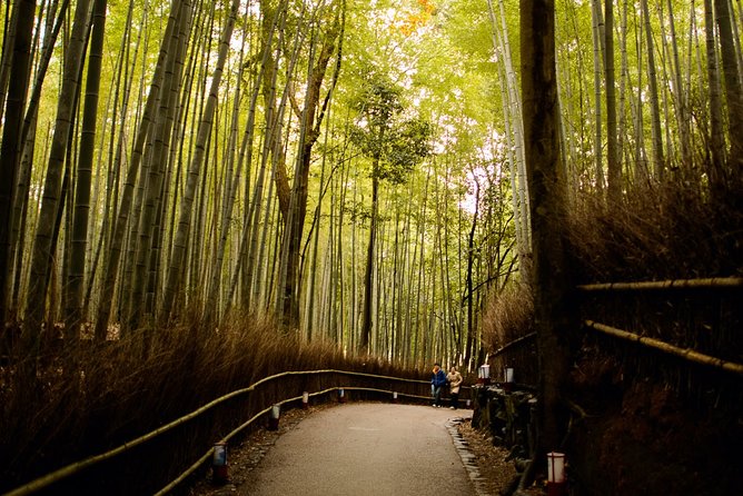 Arashiyama Bamboo Forest E-Biking Tour - Why this ride shows you more of Kyoto