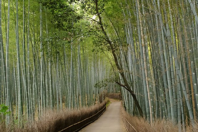 Arashiyama Bamboo Forest E-Biking Tour - Why a group of eight is a useful limit