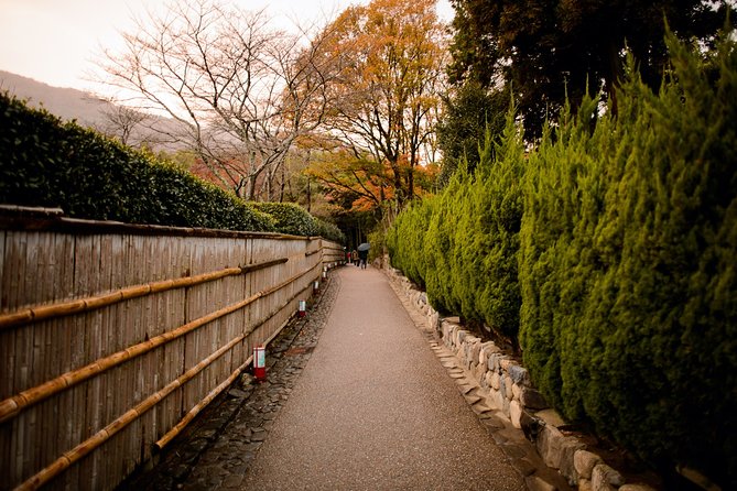 Arashiyama Bamboo Forest E-Biking Tour - Is $116 a fair price?
