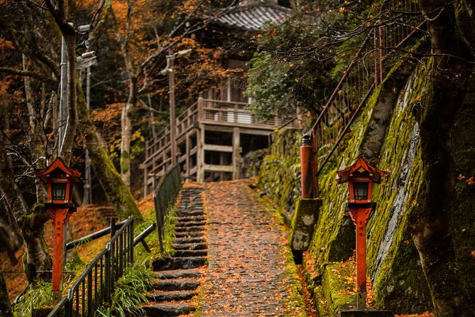 Arashiyama Bamboo Forest E-Biking Tour - Who should book this Kyoto bike tour?