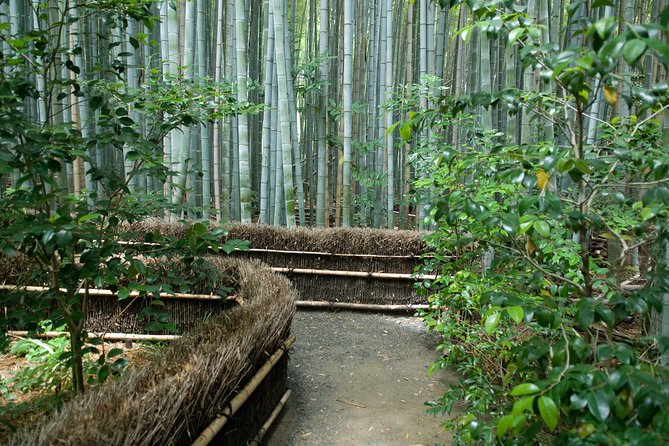 Arashiyama Bamboo Forest E-Biking Tour - Otagi Nenbutsu-ji and its playful stone figures