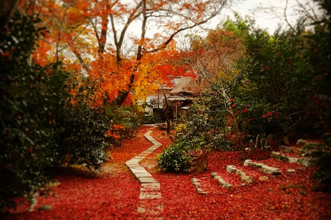 Arashiyama Bamboo Forest & Hidden Gems Bike Tour (Early Bird) - Two hours through quieter Arashiyama