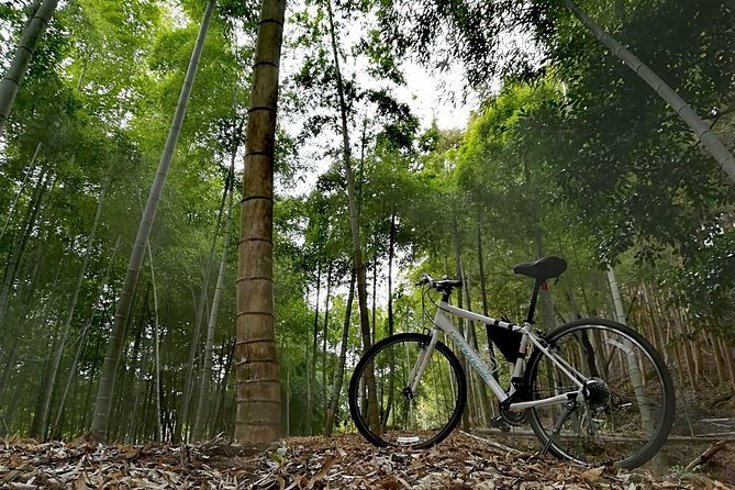 Arashiyama Bamboo Forest & Hidden Gems Bike Tour (Early Bird) - Guides who shape the experience