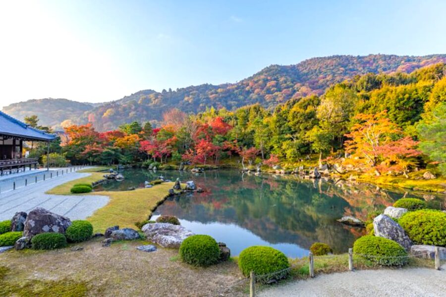 Arashiyama Bamboo, Temple, Monkeys, or Secret Sake Brewery - What the guides add